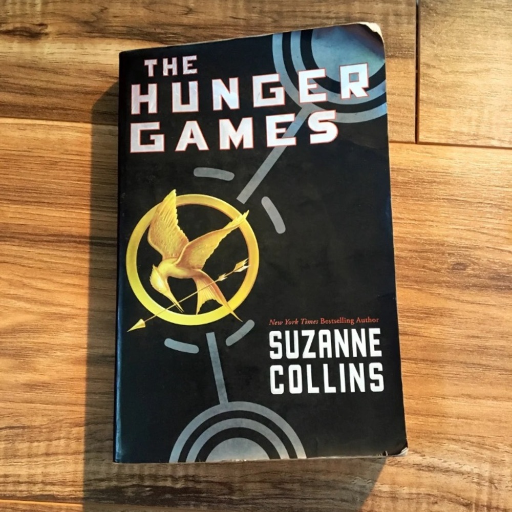 Hunger game Series - Picture 2 of 7
